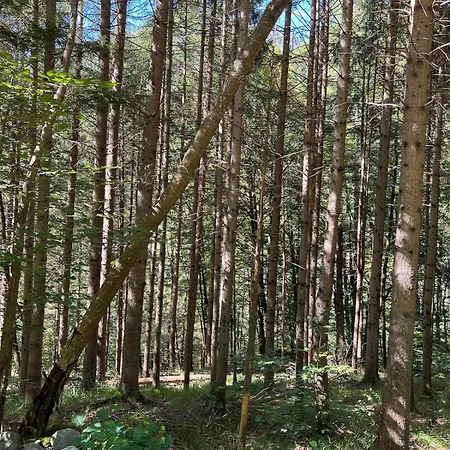 I Cinque Viaggiatori * Ceres