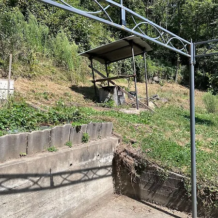 I Cinque Viaggiatori * Ceres