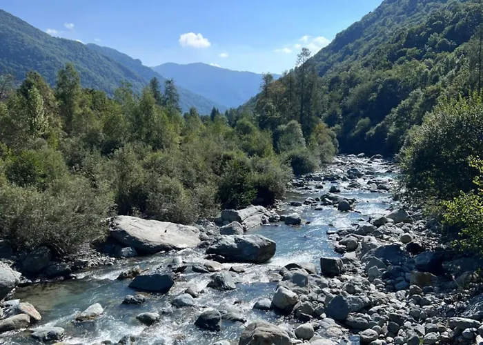 I Cinque Viaggiatori *